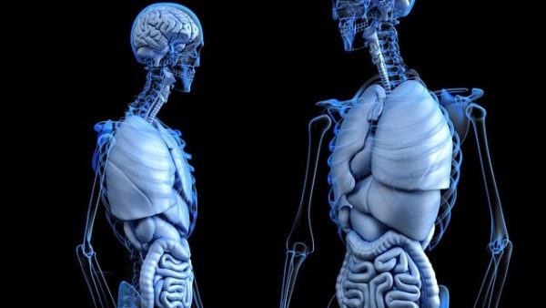 炎症性腸疾患と栄養について！ボディケア&パーソナルジムLea 自由が丘店 | 自由が丘のパーソナルトレーニングジム