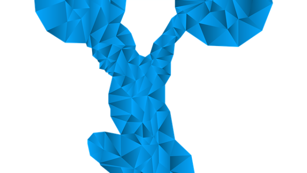 オーバートレーニングについて！ボディケア&パーソナルジムLea 自由が丘店 | 自由が丘のパーソナルトレーニングジム